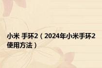 小米 手环2（2024年小米手环2使用方法）