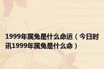 1999年属兔是什么命运（今日时讯1999年属兔是什么命）