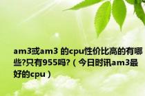 am3或am3 的cpu性价比高的有哪些?只有955吗?（今日时讯am3最好的cpu）