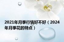 2021年月季行情好不好（2024年月季花的特点）