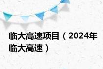 临大高速项目（2024年临大高速）