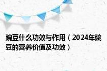 豌豆什么功效与作用（2024年豌豆的营养价值及功效）