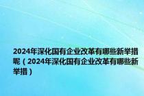 2024年深化国有企业改革有哪些新举措呢（2024年深化国有企业改革有哪些新举措）