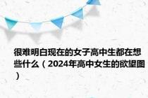 很难明白现在的女子高中生都在想些什么（2024年高中女生的欲望图）