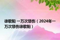 徐歌阳 一万次悲伤（2024年一万次悲伤徐歌阳）