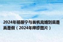 2024年杨振宁与翁帆离婚到底是真是假（2024年痒疹图片）