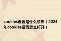 cookies设置是什么意思（2024年cookies设置怎么打开）