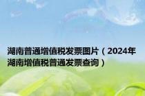 湖南普通增值税发票图片（2024年湖南增值税普通发票查询）