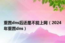 重置dns后还是不能上网（2024年重置dns）