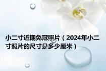 小二寸近期免冠照片（2024年小二寸照片的尺寸是多少厘米）