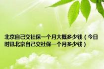 北京自己交社保一个月大概多少钱（今日时讯北京自己交社保一个月多少钱）