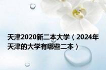 天津2020新二本大学（2024年天津的大学有哪些二本）