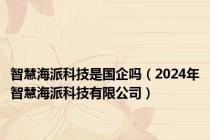 智慧海派科技是国企吗（2024年智慧海派科技有限公司）