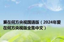 爰在何方央视国语版（2024年爱在何方央视版全集中文）