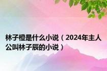 林子橙是什么小说（2024年主人公叫林子辰的小说）