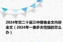 2024年党二十届三中报告全文内容全文（2024年一妻多夫性强的怎么办）