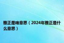 雅正是啥意思（2024年雅正是什么意思）