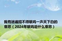 我有迷魂招不得雄鸡一声天下白的意思（2024年雄鸡是什么意思）