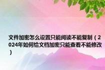 文件加密怎么设置只能阅读不能复制（2024年如何给文档加密只能查看不能修改）