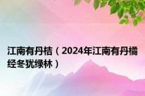 江南有丹桔（2024年江南有丹橘经冬犹绿林）