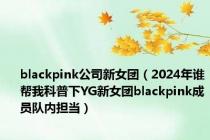 blackpink公司新女团（2024年谁帮我科普下YG新女团blackpink成员队内担当）