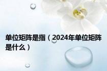 单位矩阵是指（2024年单位矩阵是什么）