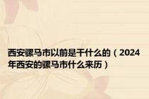 西安骡马市以前是干什么的（2024年西安的骡马市什么来历）