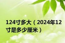 124寸多大（2024年12寸是多少厘米）