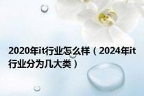 2020年it行业怎么样（2024年it行业分为几大类）