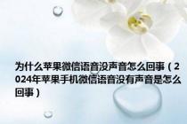 为什么苹果微信语音没声音怎么回事（2024年苹果手机微信语音没有声音是怎么回事）