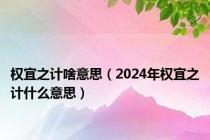 权宜之计啥意思（2024年权宜之计什么意思）