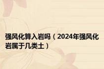 强风化算入岩吗（2024年强风化岩属于几类土）