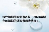 绿色蝈蝈的寿命有多长（2024年绿色的蝈蝈的外形有哪些特征）