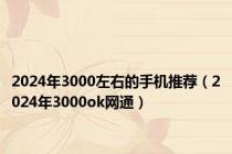 2024年3000左右的手机推荐（2024年3000ok网通）