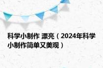 科学小制作 漂亮（2024年科学小制作简单又美观）