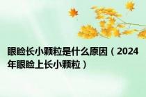 眼睑长小颗粒是什么原因（2024年眼睑上长小颗粒）