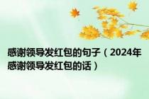 感谢领导发红包的句子（2024年感谢领导发红包的话）