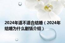 2024年适不适合结婚（2024年结婚为什么剧情介绍）