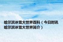 哈尔滨冰雪大世界百科（今日时讯哈尔滨冰雪大世界简介）