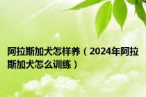 阿拉斯加犬怎样养（2024年阿拉斯加犬怎么训练）