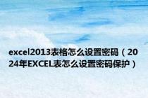 excel2013表格怎么设置密码（2024年EXCEL表怎么设置密码保护）