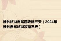 桂林旅游自驾游攻略三天（2024年桂林自驾旅游攻略三天）