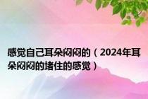 感觉自己耳朵闷闷的（2024年耳朵闷闷的堵住的感觉）