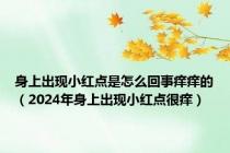 身上出现小红点是怎么回事痒痒的（2024年身上出现小红点很痒）