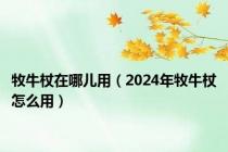 牧牛杖在哪儿用（2024年牧牛杖怎么用）