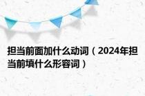 担当前面加什么动词（2024年担当前填什么形容词）