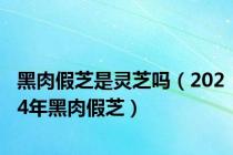 黑肉假芝是灵芝吗（2024年黑肉假芝）