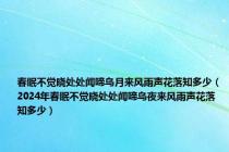 春眠不觉晓处处闻啼鸟月来风雨声花落知多少（2024年春眠不觉晓处处闻啼鸟夜来风雨声花落知多少）