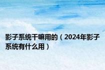 影子系统干嘛用的（2024年影子系统有什么用）