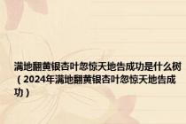 满地翻黄银杏叶忽惊天地告成功是什么树（2024年满地翻黄银杏叶忽惊天地告成功）